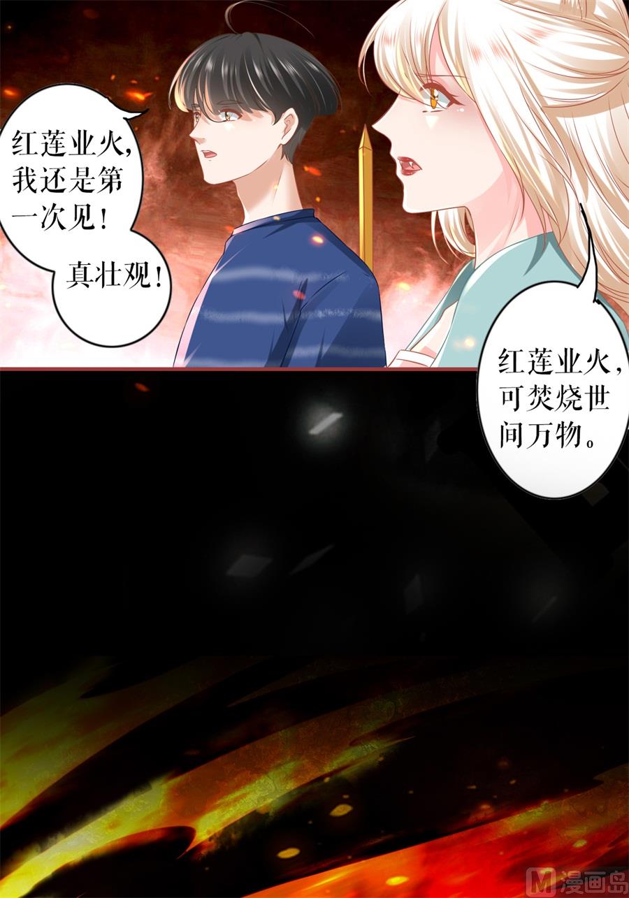 神秘界的新娘韩漫全集-第203话无删减无遮挡章节图片 