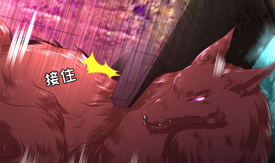 神秘界的新娘韩漫全集-第205话无删减无遮挡章节图片 