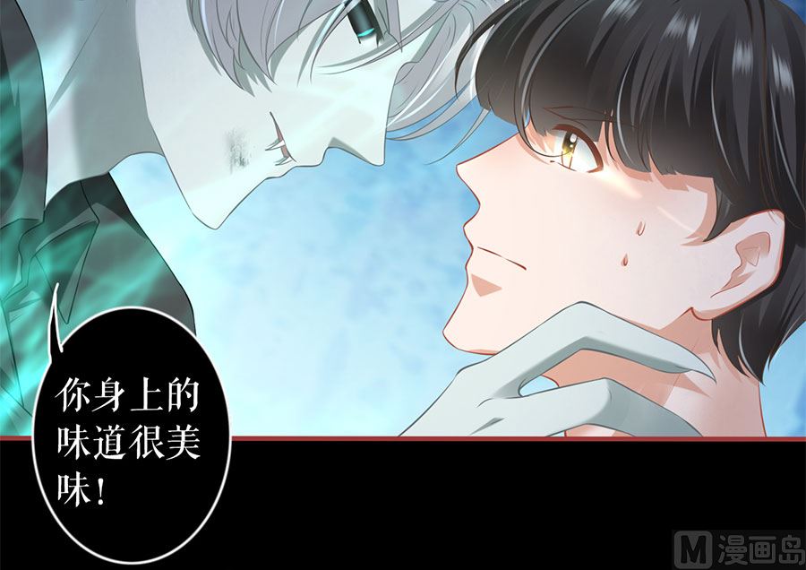 神秘界的新娘韩漫全集-第209话无删减无遮挡章节图片 