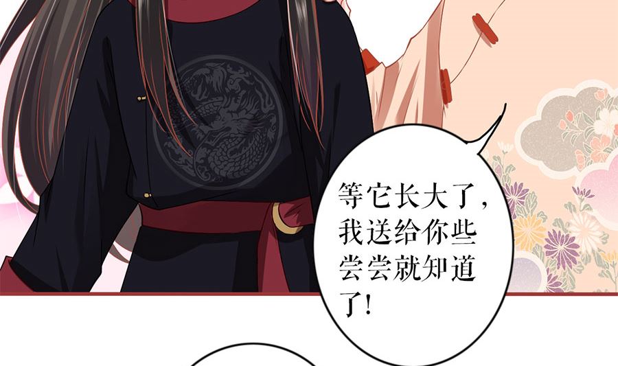 神秘界的新娘韩漫全集-第219话无删减无遮挡章节图片 