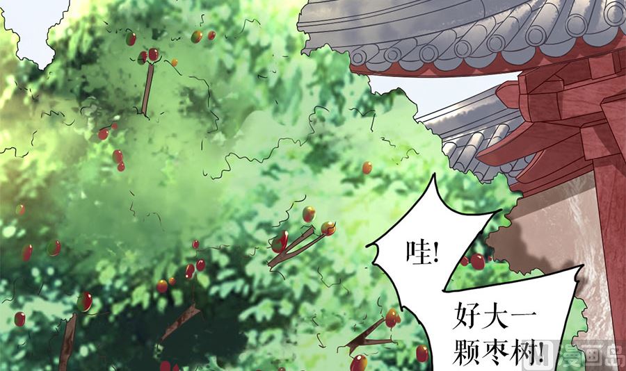 神秘界的新娘韩漫全集-第219话无删减无遮挡章节图片 