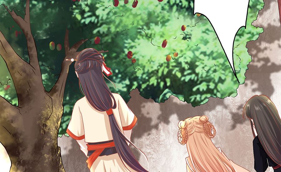 神秘界的新娘韩漫全集-第219话无删减无遮挡章节图片 