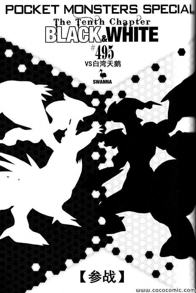 神奇宝贝特别篇韩漫全集-第495话 VS白湾天鹅无删减无遮挡章节图片 