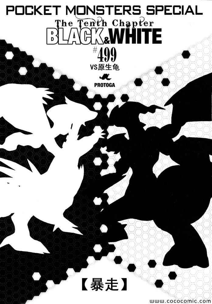 神奇宝贝特别篇韩漫全集-第499话 VS原生龟无删减无遮挡章节图片 