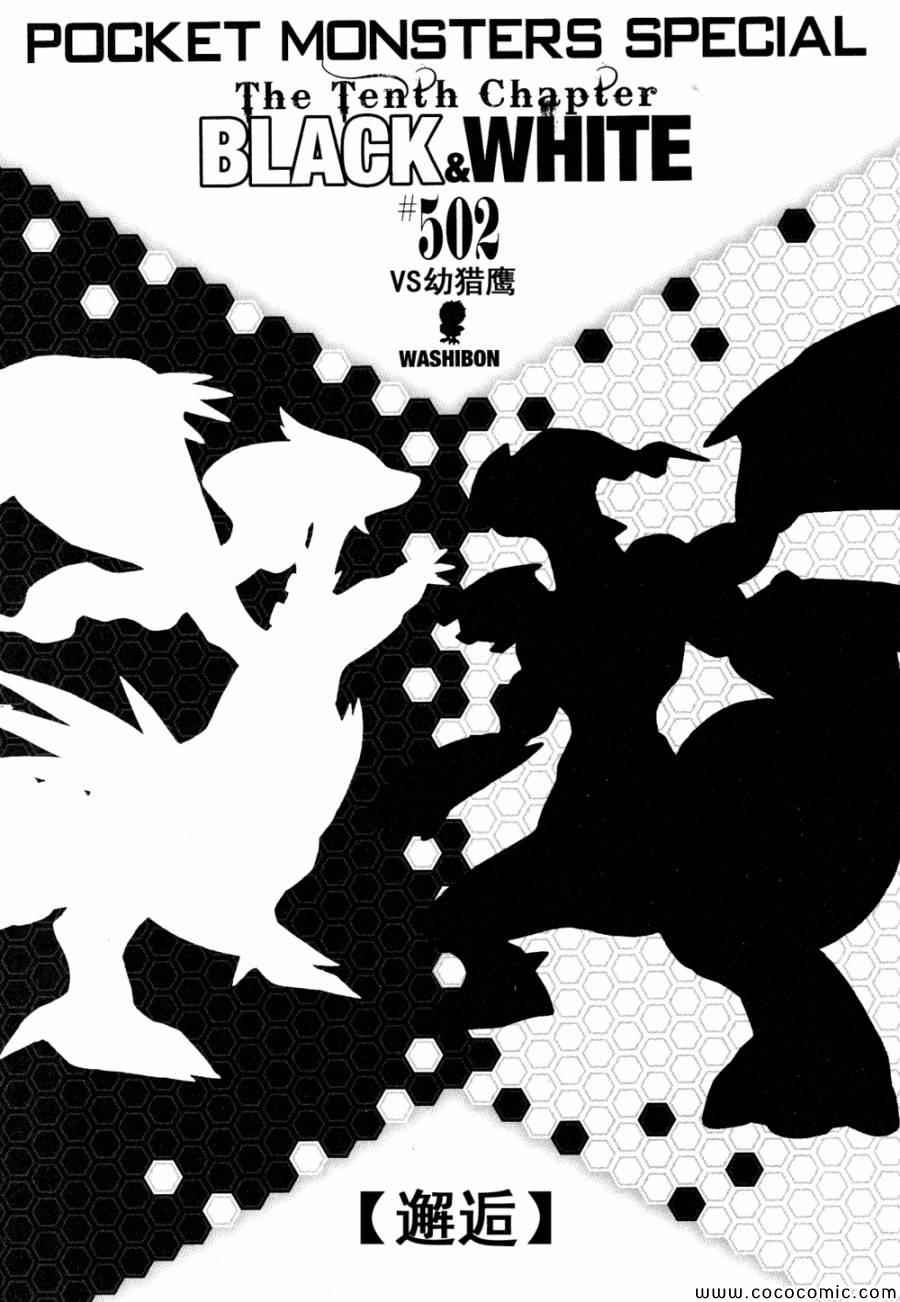 神奇宝贝特别篇韩漫全集-第502话 VS幼猎鹰无删减无遮挡章节图片 