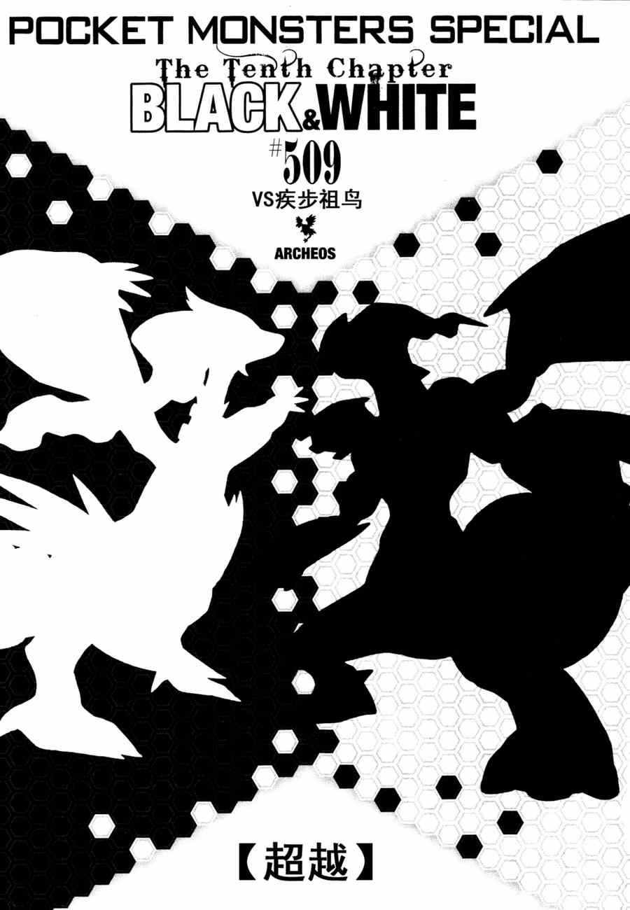神奇宝贝特别篇韩漫全集-第509话 vs疾步祖鸟无删减无遮挡章节图片 