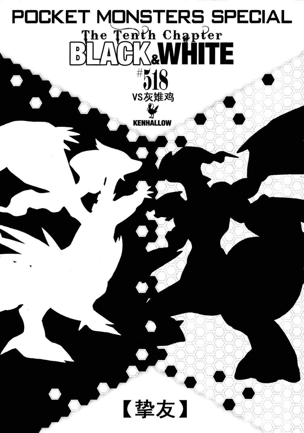 神奇宝贝特别篇韩漫全集-第518话 vs灰雉鸡无删减无遮挡章节图片 