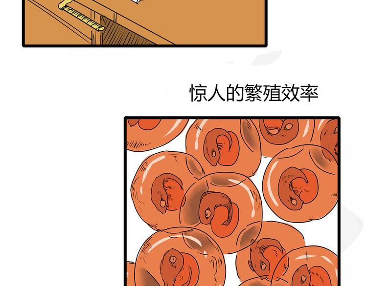 深水前线韩漫全集-第1话 鱼类异变吃人怪？！无删减无遮挡章节图片 