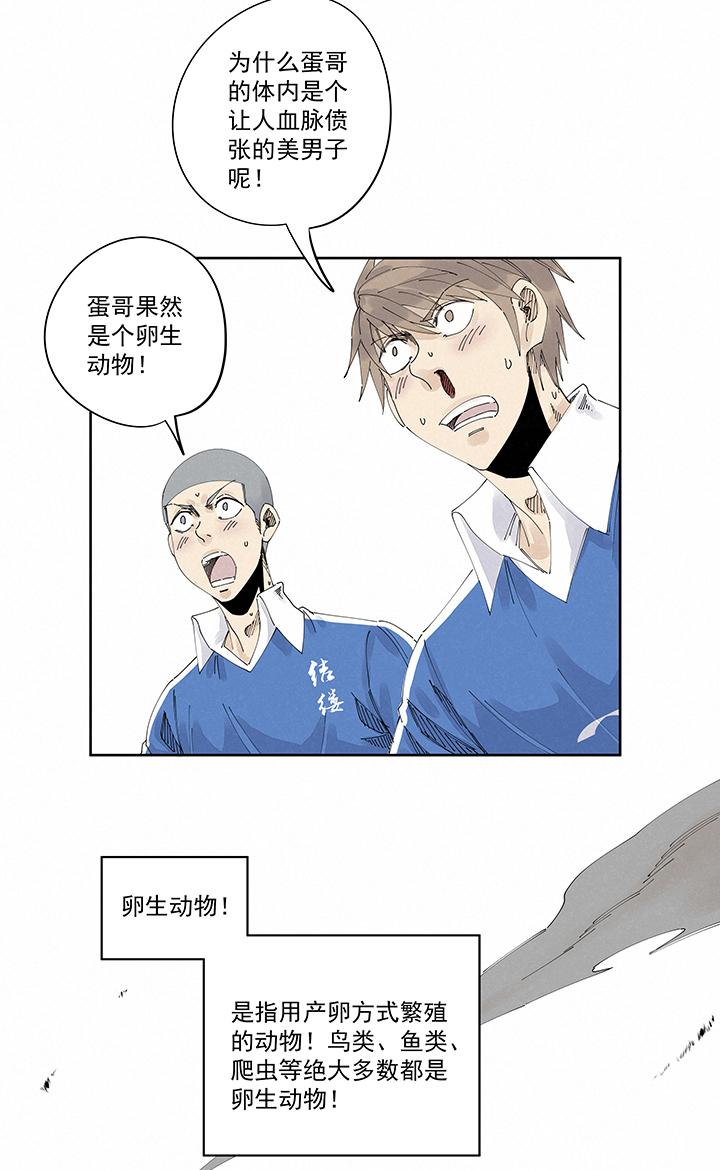 神之一脚韩漫全集-第二百一十三波  结缕VS大林武高无删减无遮挡章节图片 