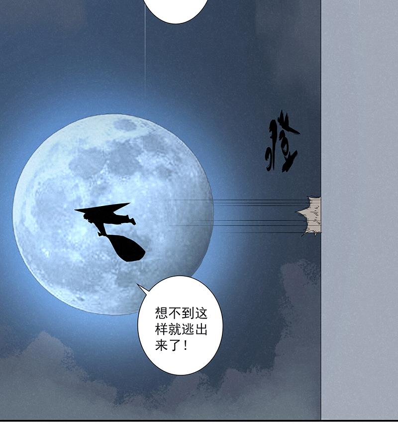神之一脚韩漫全集-第二百八十波  复国计划无删减无遮挡章节图片 