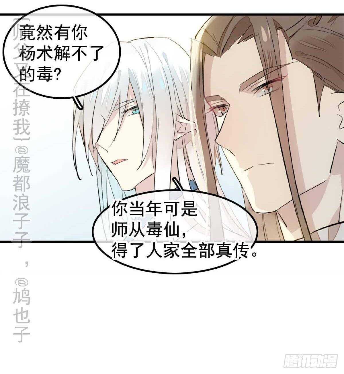 师父又在撩我（燎刃）韩漫全集-138 凤凰血无删减无遮挡章节图片 