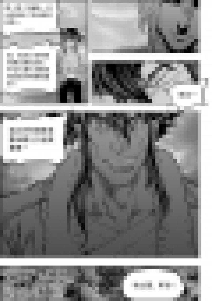 噬规者韩漫全集-第188话 新世界的规则 我们说了算无删减无遮挡章节图片 