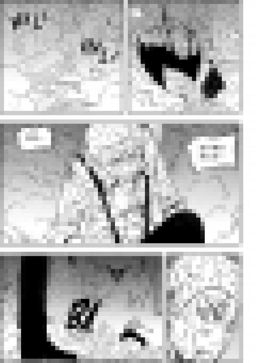 噬规者韩漫全集-第188话 新世界的规则 我们说了算无删减无遮挡章节图片 