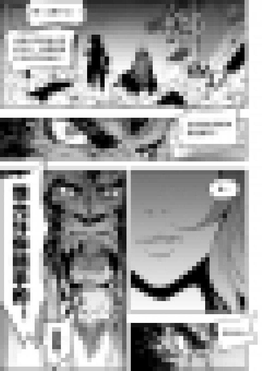 噬规者韩漫全集-第188话 新世界的规则 我们说了算无删减无遮挡章节图片 