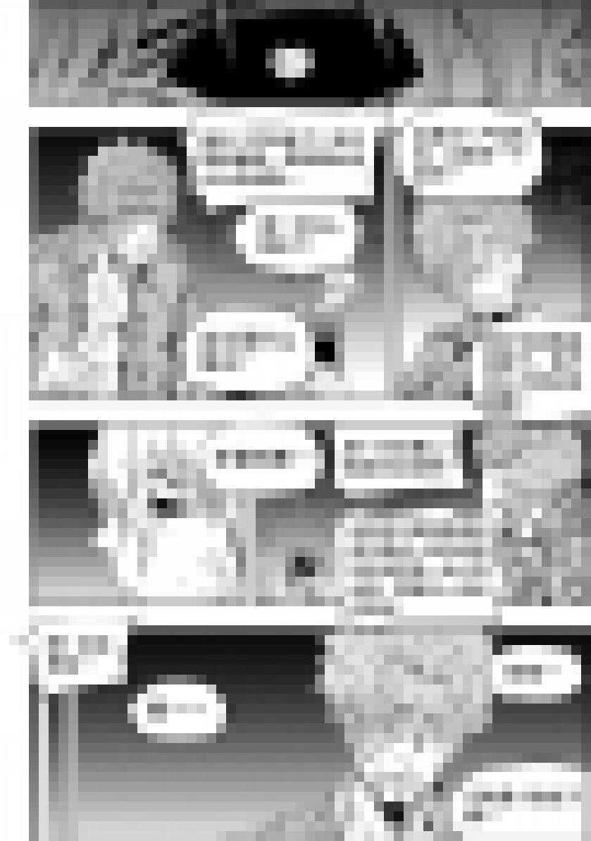 噬规者韩漫全集-第197话 那我就不客气了无删减无遮挡章节图片 