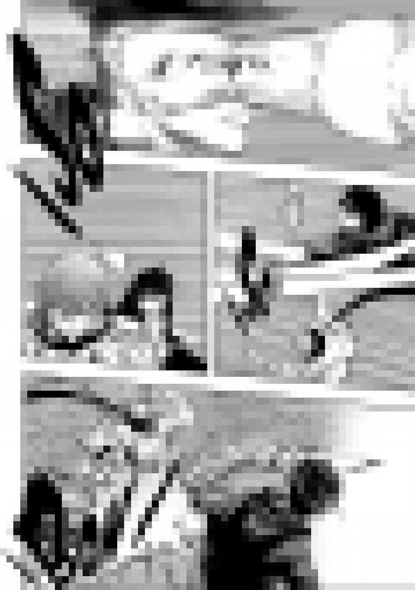 噬规者韩漫全集-第197话 那我就不客气了无删减无遮挡章节图片 