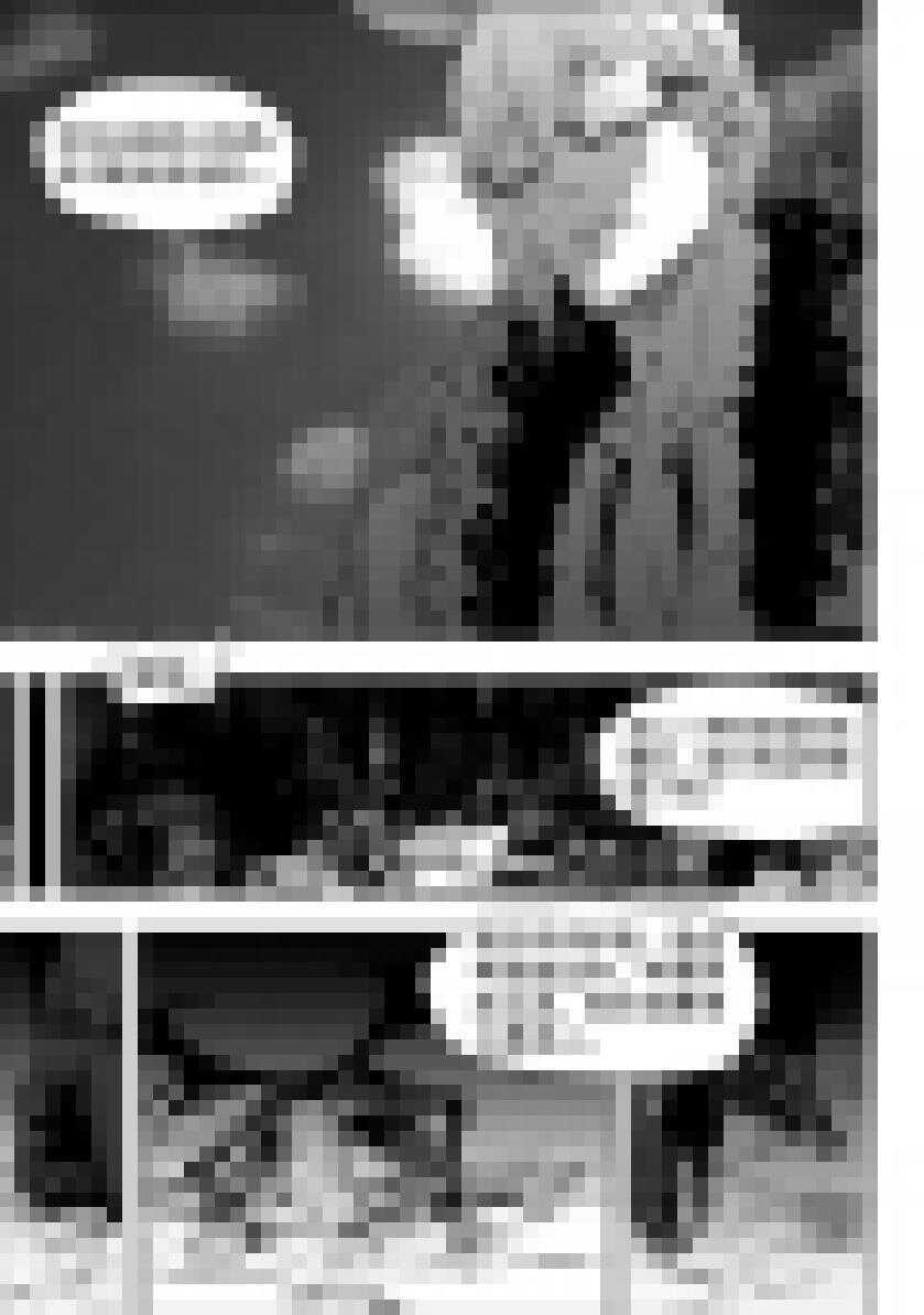 噬规者韩漫全集-第197话 那我就不客气了无删减无遮挡章节图片 