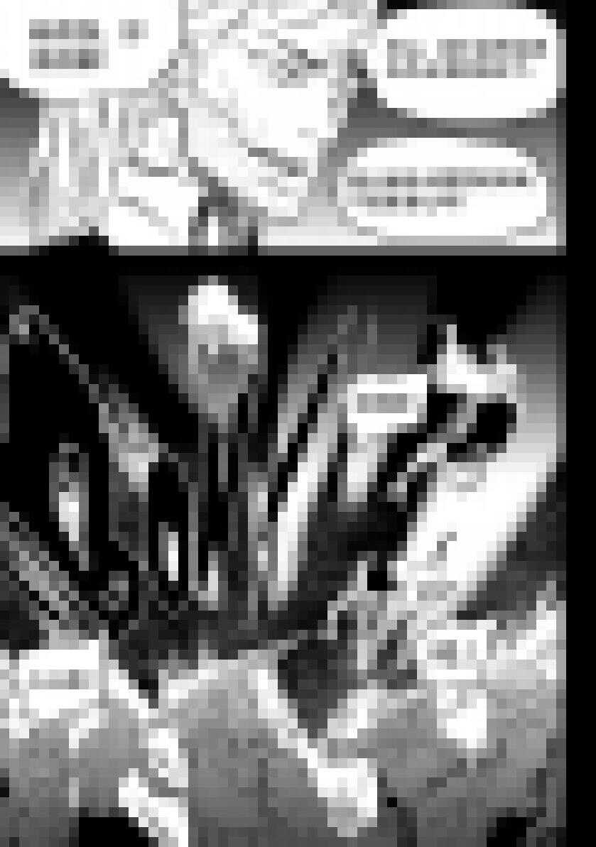 噬规者韩漫全集-第202话 守护无删减无遮挡章节图片 