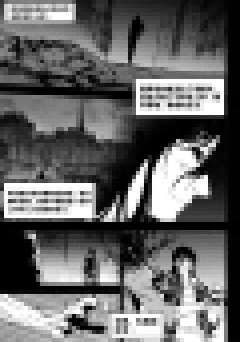 噬规者韩漫全集-第202话 守护无删减无遮挡章节图片 