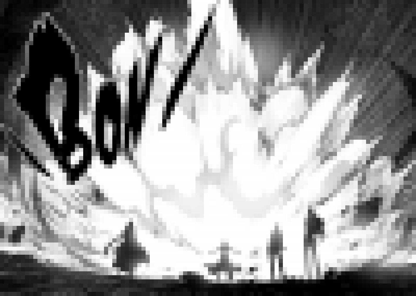 噬规者韩漫全集-第202话 守护无删减无遮挡章节图片 
