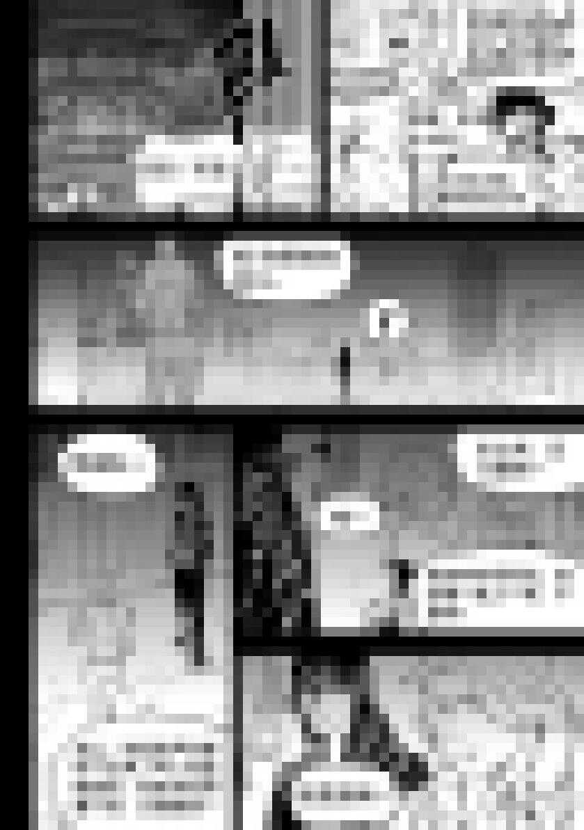 噬规者韩漫全集-第202话 守护无删减无遮挡章节图片 