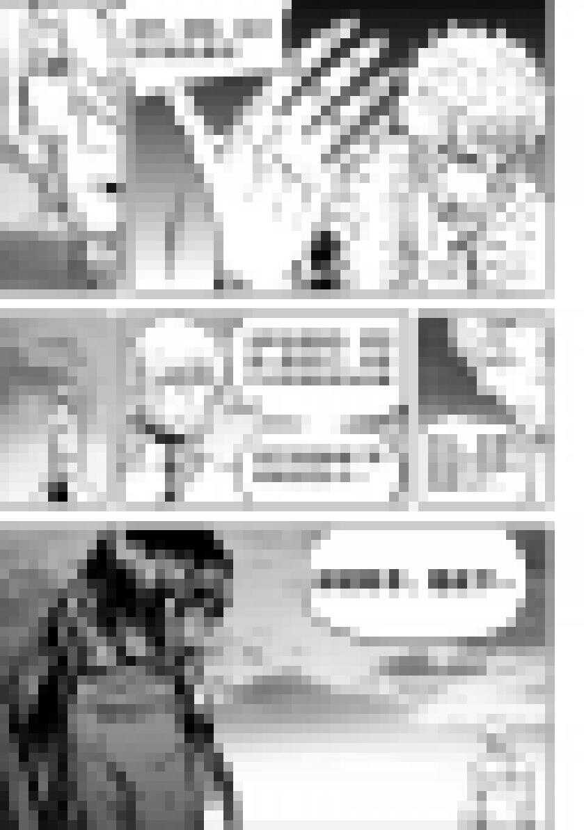噬规者韩漫全集-第203话 一人一个无删减无遮挡章节图片 