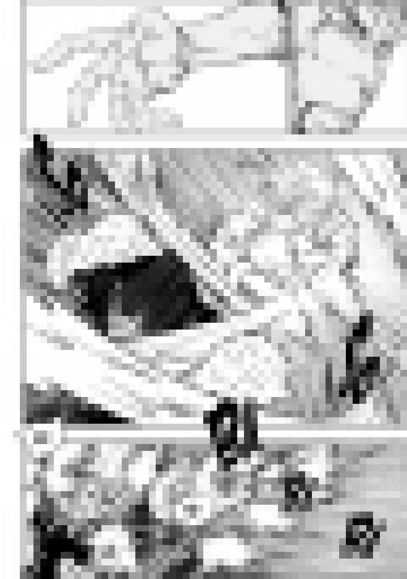 噬规者韩漫全集-第204话 这一次，该我为大家而战了无删减无遮挡章节图片 