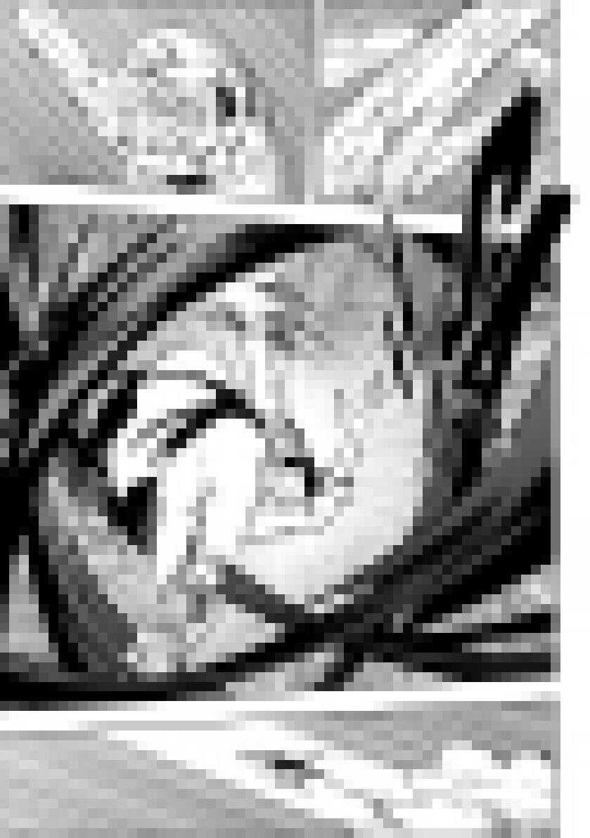 噬规者韩漫全集-第204话 这一次，该我为大家而战了无删减无遮挡章节图片 