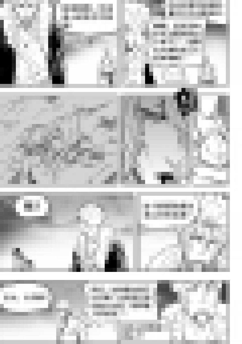 噬规者韩漫全集-第204话 这一次，该我为大家而战了无删减无遮挡章节图片 