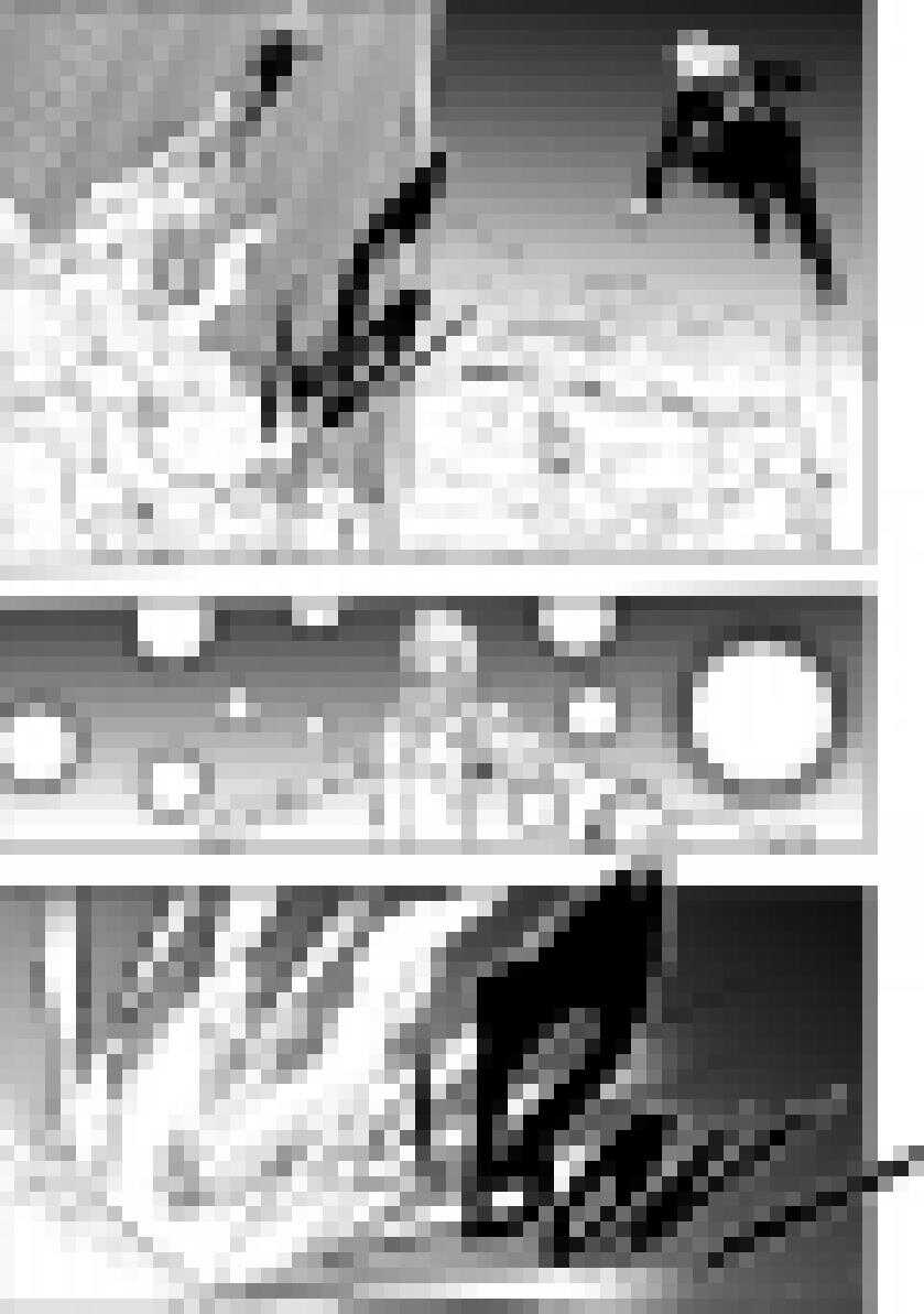 噬规者韩漫全集-第204话 这一次，该我为大家而战了无删减无遮挡章节图片 