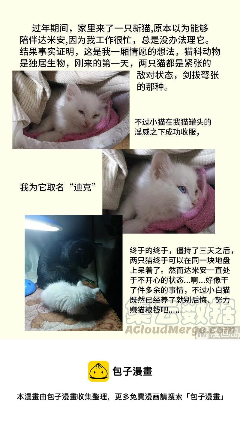嗜谎之神韩漫全集-3-078 第三卷 殉道者的呢喃-糖为什么是甜的（下）无删减无遮挡章节图片 