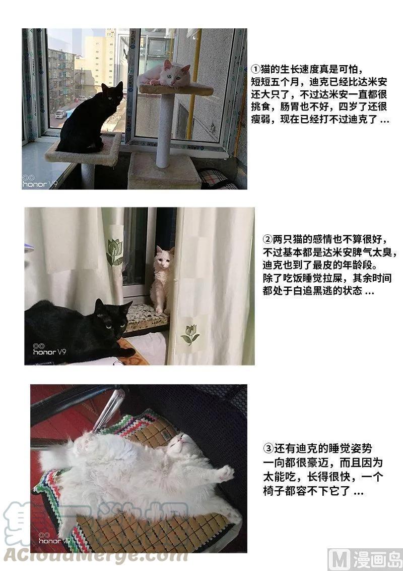 嗜谎之神韩漫全集-4-009 第四卷 狂宴之上-交换（上）无删减无遮挡章节图片 