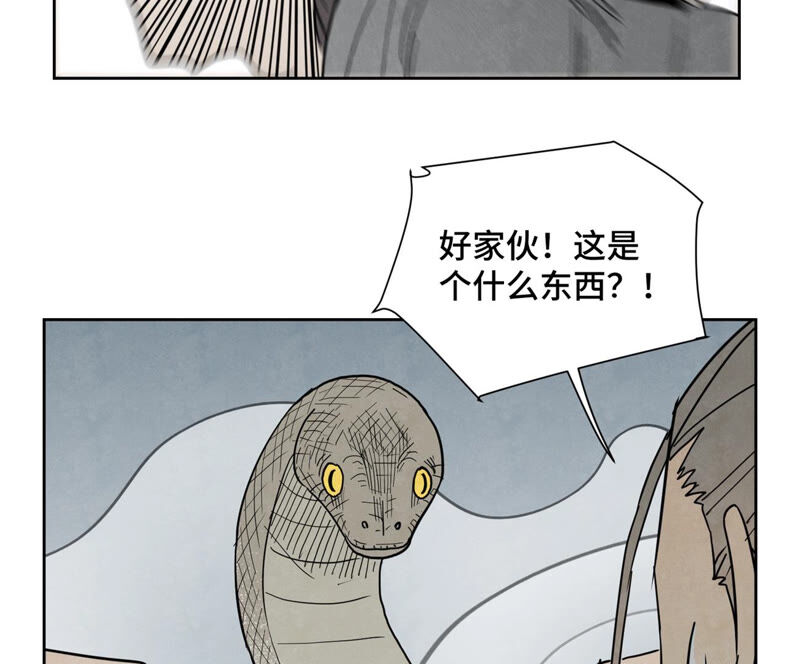 石少侠感觉好孤单韩漫全集-第140话 文盲与大蛇无删减无遮挡章节图片 