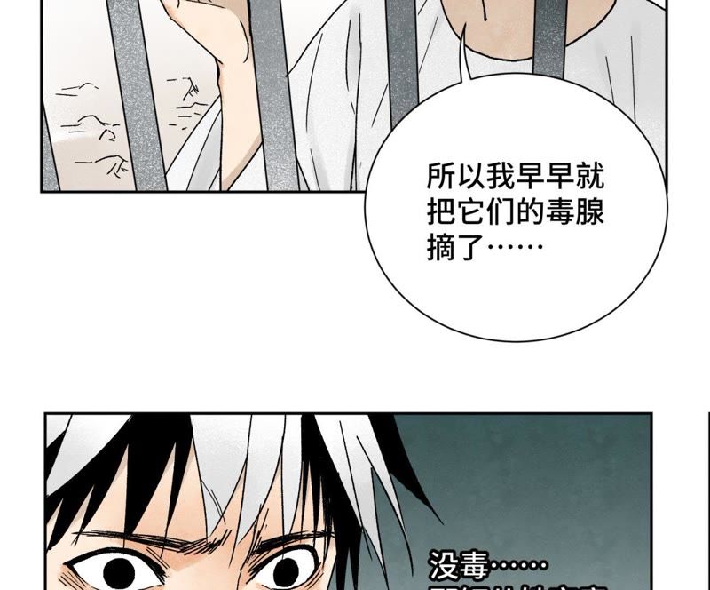 石少侠感觉好孤单韩漫全集-第23话 小铁匠与毒蛇无删减无遮挡章节图片 