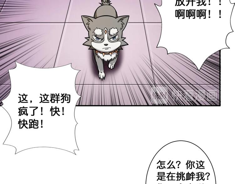噬神纪韩漫全集-第102话 你想变强吗无删减无遮挡章节图片 