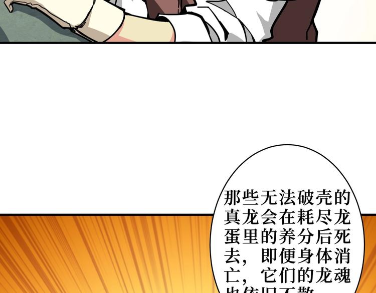 噬神纪韩漫全集-第223话 集齐七颗龙珠！无删减无遮挡章节图片 