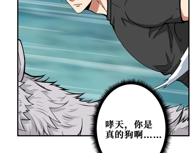 噬神纪韩漫全集-第238话 高手过招，招招有病无删减无遮挡章节图片 