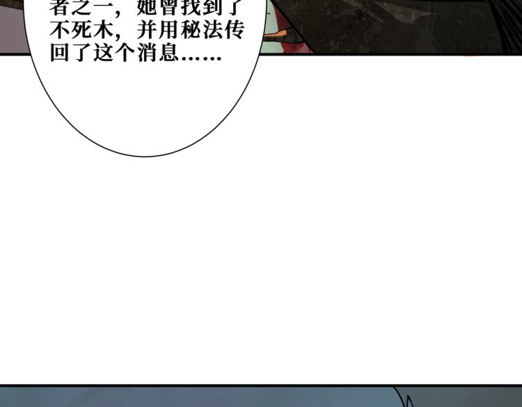 噬神纪韩漫全集-第265话 绝望之森无删减无遮挡章节图片 