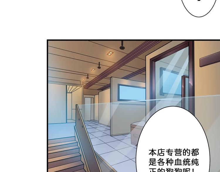 噬神纪韩漫全集-第66话 老祖无删减无遮挡章节图片 