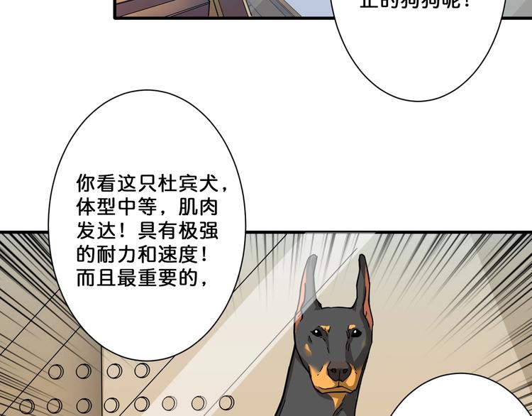 噬神纪韩漫全集-第66话 老祖无删减无遮挡章节图片 