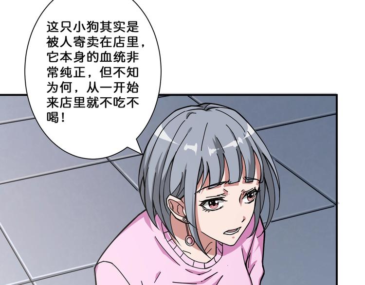 噬神纪韩漫全集-第66话 老祖无删减无遮挡章节图片 