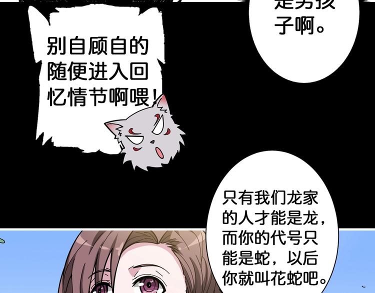 噬神纪韩漫全集-第87话 高手高手，这是高手无删减无遮挡章节图片 
