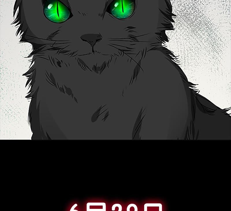 世无良猫韩漫全集-预告无删减无遮挡章节图片 