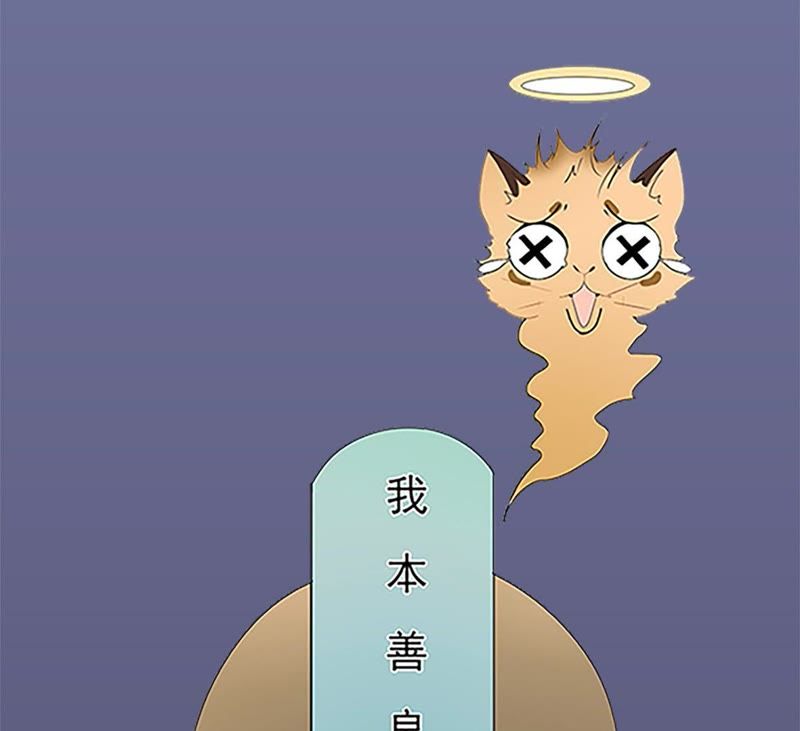 世无良猫韩漫全集-预告无删减无遮挡章节图片 