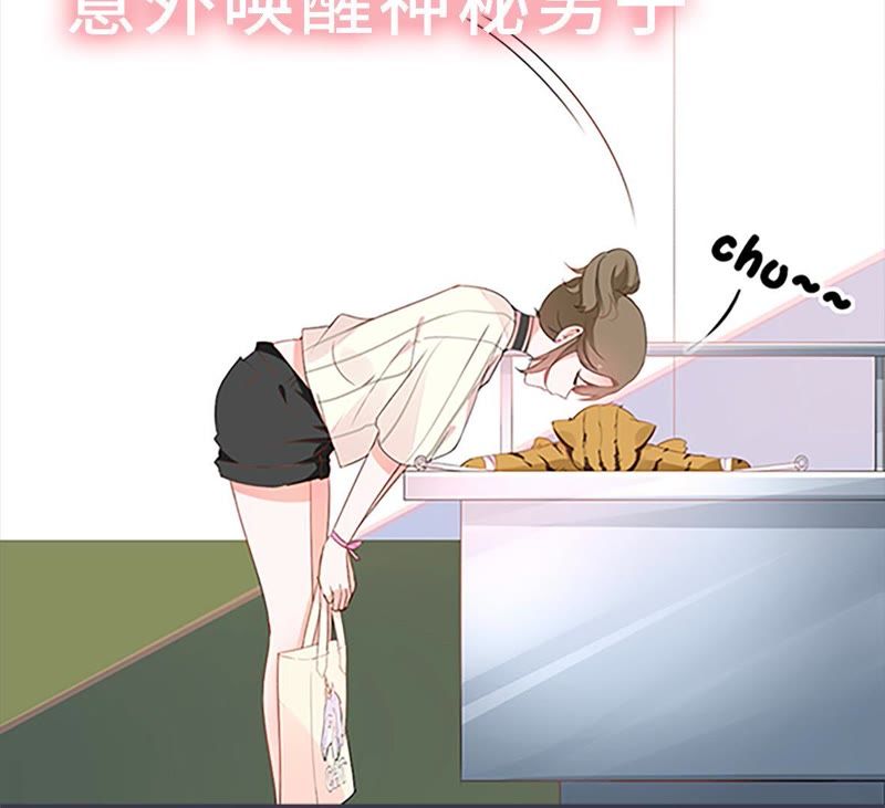 世无良猫韩漫全集-预告无删减无遮挡章节图片 