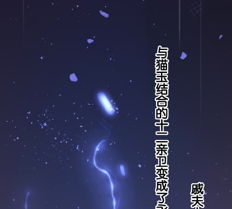 世无良猫韩漫全集-第1话 千年猫男的悲催奇遇无删减无遮挡章节图片 