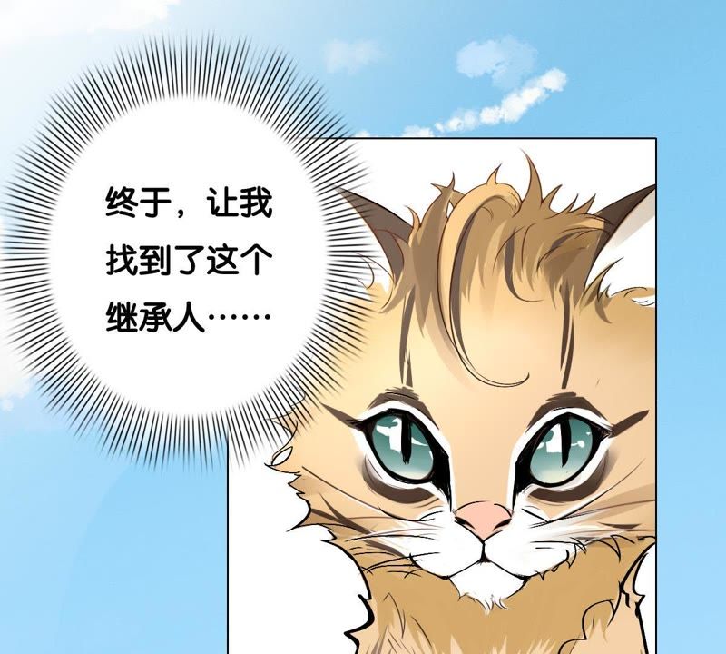 世无良猫韩漫全集-第1话 千年猫男的悲催奇遇无删减无遮挡章节图片 
