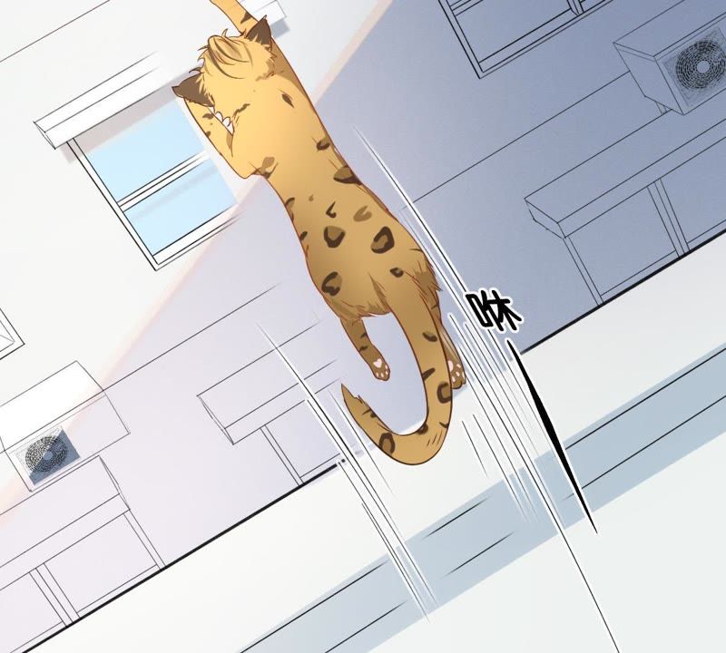 世无良猫韩漫全集-第1话 千年猫男的悲催奇遇无删减无遮挡章节图片 