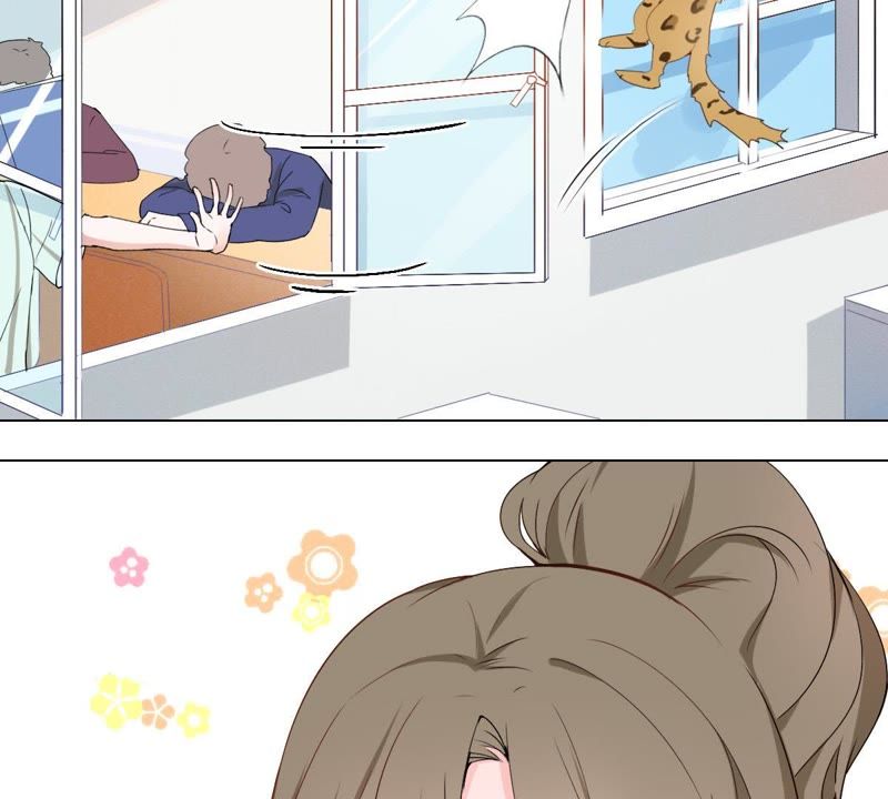 世无良猫韩漫全集-第1话 千年猫男的悲催奇遇无删减无遮挡章节图片 
