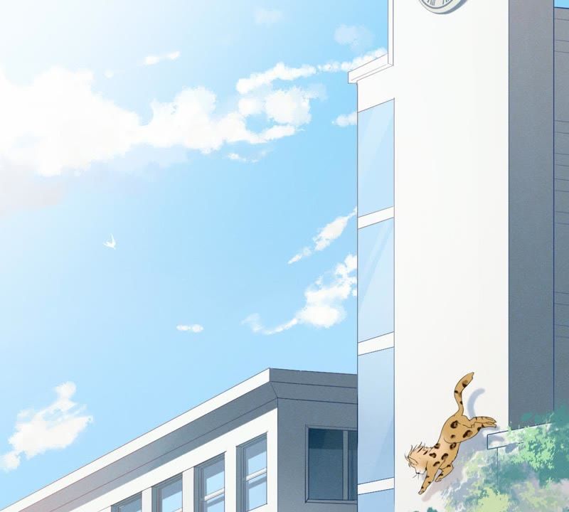 世无良猫韩漫全集-第1话 千年猫男的悲催奇遇无删减无遮挡章节图片 